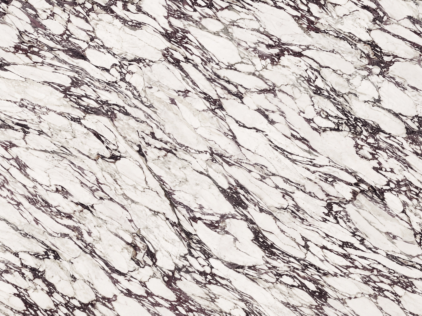 Calacatta Viola stone surface