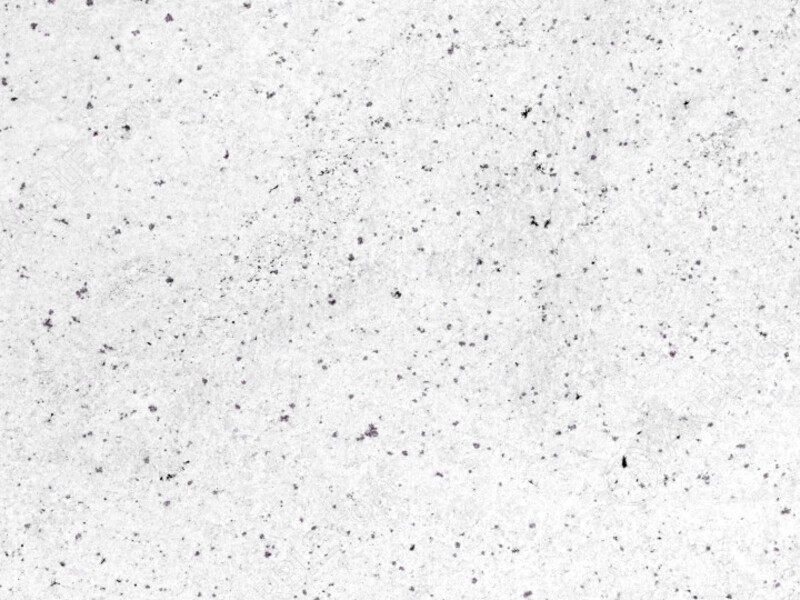 Colonial White stone surface